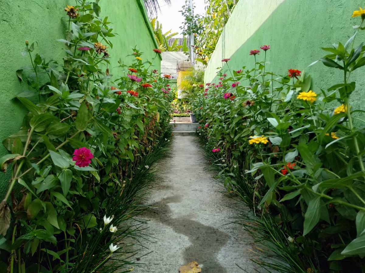 Rumah Mini Apartment อูบุด ภายนอก รูปภาพ